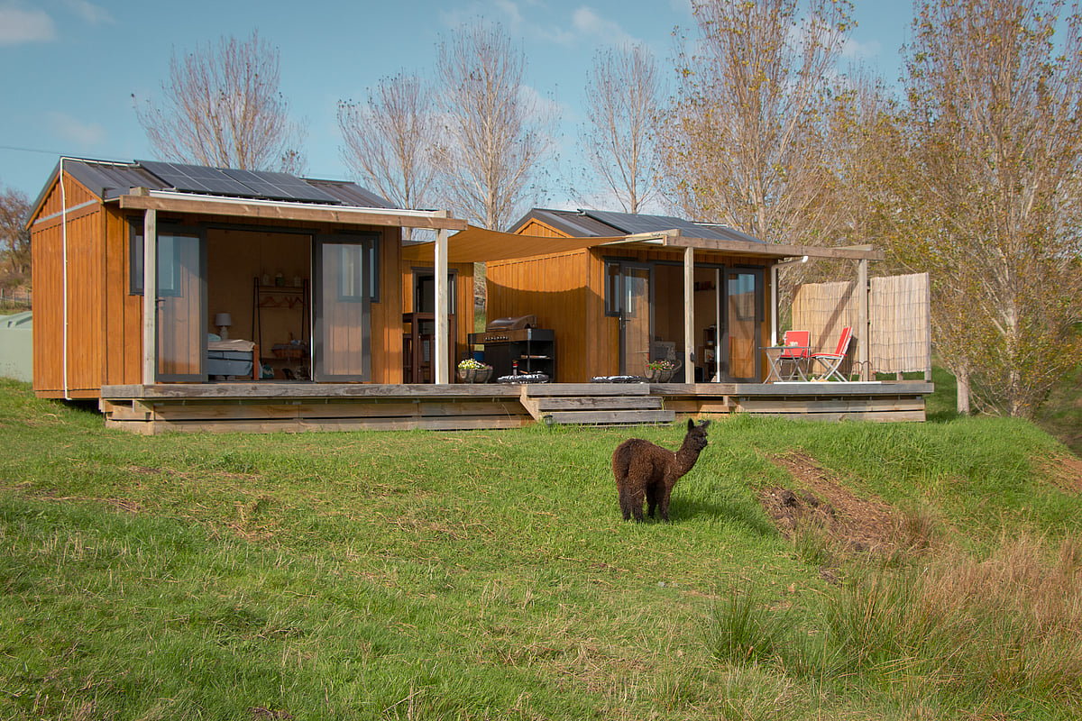 HavenRidge Alpacas Kaiwaka | About Our Off-Grid Farm Stay & Alpaca ...