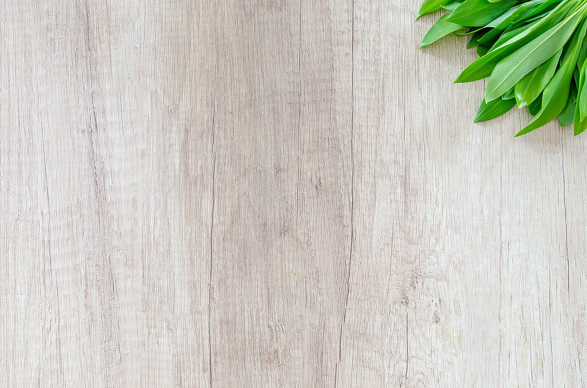 Renew Skin and Body