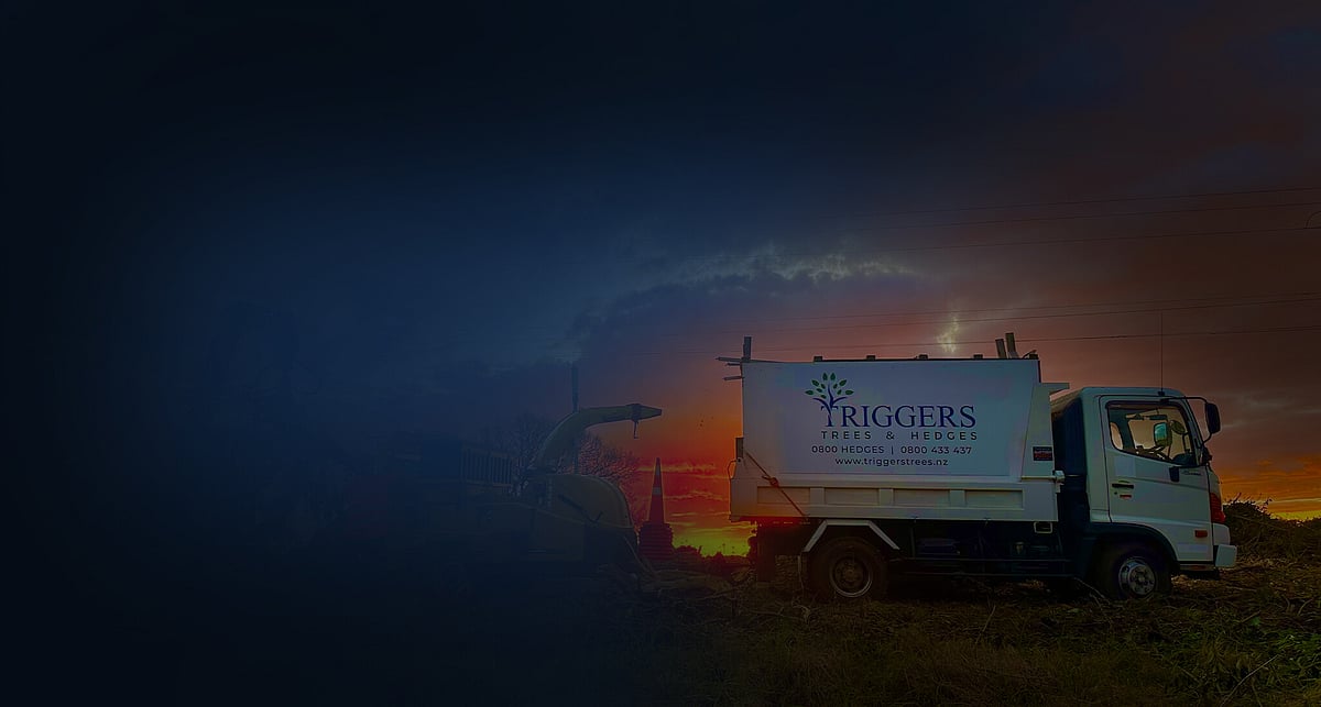 Tree and Hedge Services Hamilton | Triggers Trees and Hedges