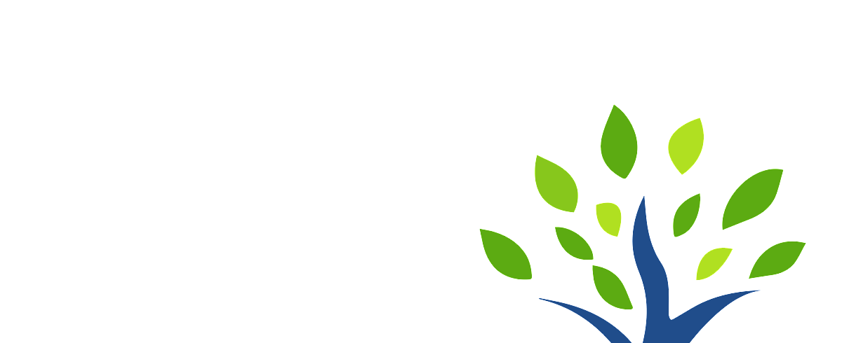About Triggers Trees & Hedges | Tree care experts Hamilton