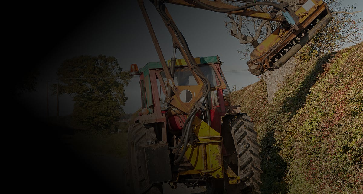 Hedge Mulching Hamilton | Triggers & Trees