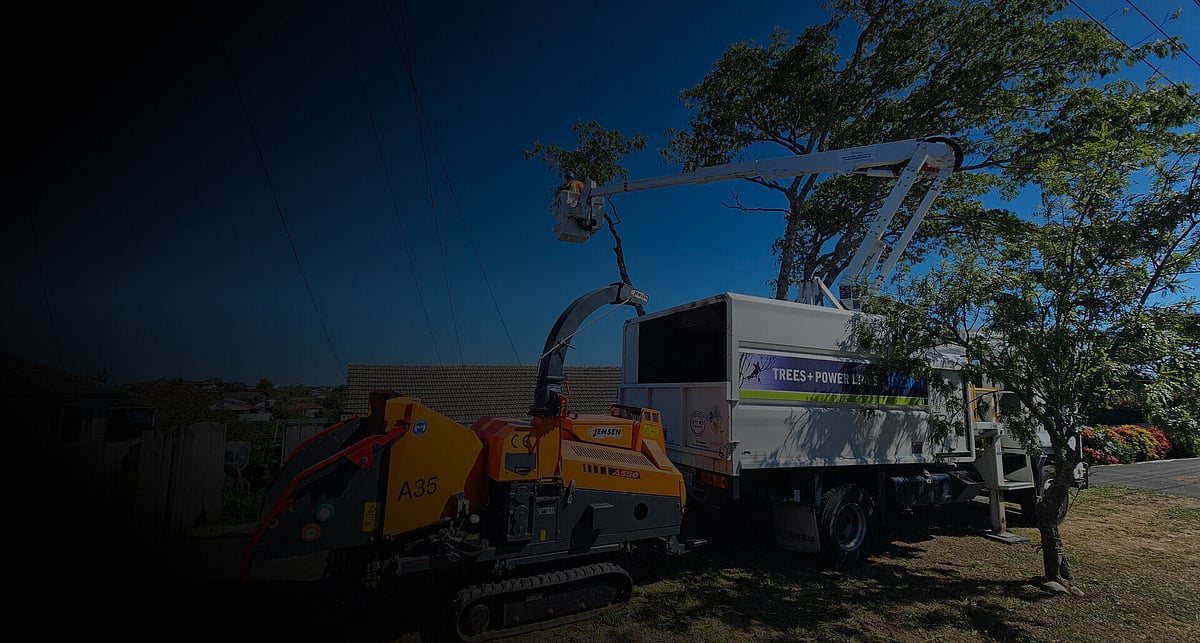 Power Line Clearing Hamilton | Triggers & Trees