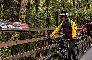FAQs | Timber Trail NZ
