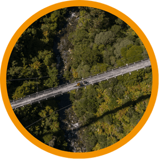 Suspension Bridges | Timber Trail NZ