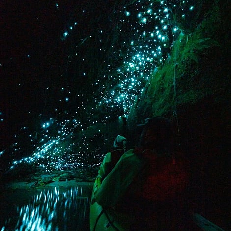 Visit inside the glow worm cave