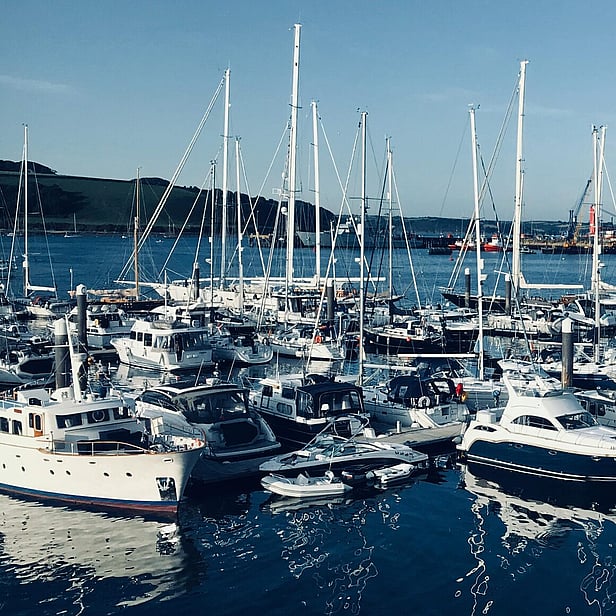 Boats in a marina