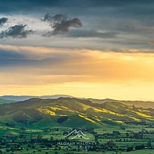 Golden hour light over rolling Waikato hills and farmland near Cambridge