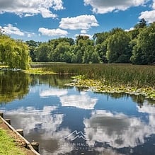 Willow trees and clouds reflected in a still lake near Hidden Lake, Cambridge