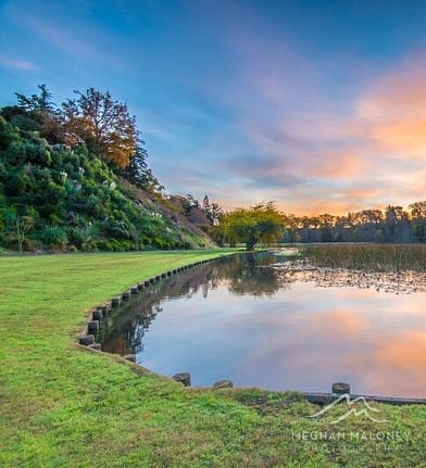 Scenic lakeside path at golden hour, Cambridge New Zealand