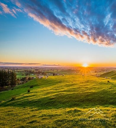 Sunrise breaking over green Waikato farmland near Cambridge