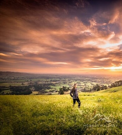 Person walking through a field at sunset near Cambridge, New Zealand