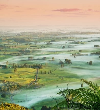 Soft morning mist settling over Cambridge farmland at dawn