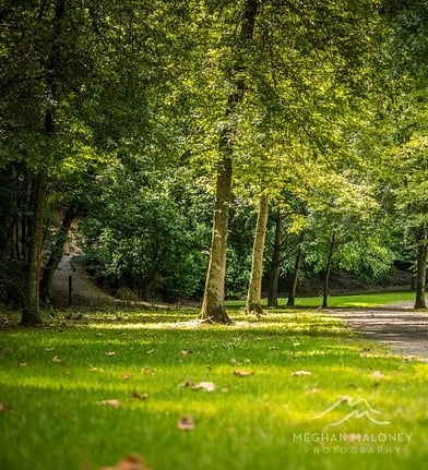 Tree-lined park path near Hidden Lake Boutique Accommodation