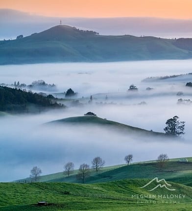 Fog drifting across rolling fields near Cambridge, Waikato
