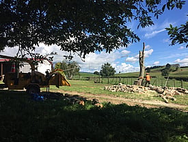 Arborist