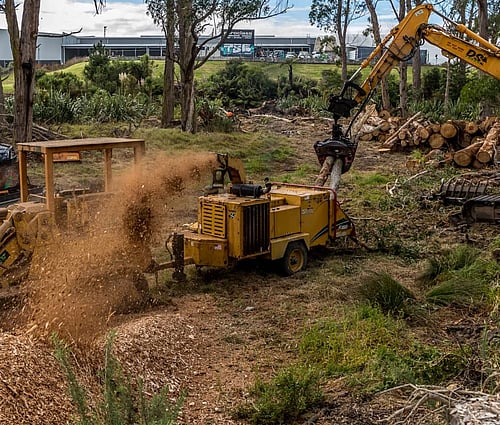 DS Trees equipment mulching trees into chip