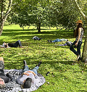 Shin rin yoku forest therapy and bathing at relaxing Arcus venue and day retreat near Waikanae on Kapiti Coast