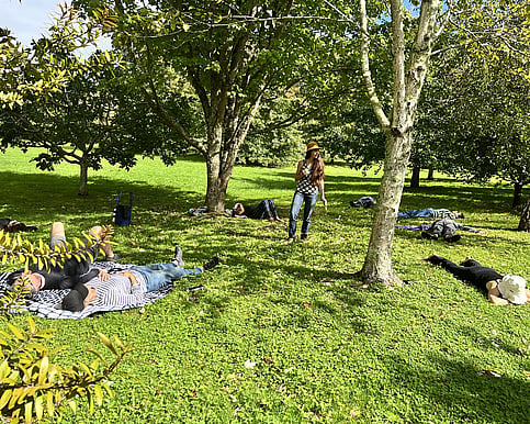 Wellington wellness retreat for women over 40 who want to find their life purpose