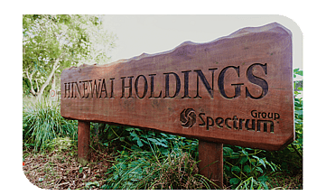 Spectrum group
