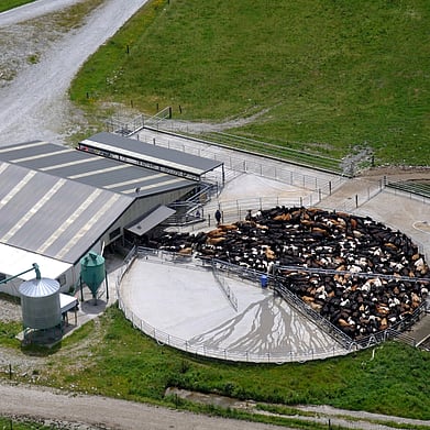 Te Awamutu electrician