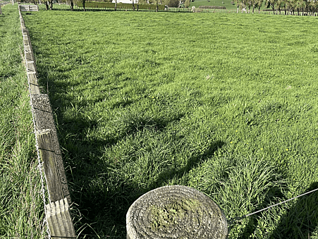 Image green sectioned paddock. 97 Corcoran Road, Te Pahu House & Land Package available with Waikato residential builders, Whitechurch Construction Limited. New Zealand