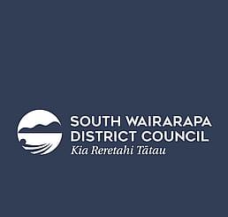 Virtual CFO Solutions by Working Solutions Chartered Accountant