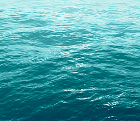 Waka Confidence - 8-11yrs