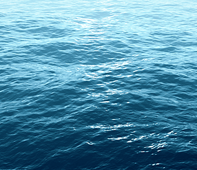 Waka Adults - +18 yrs