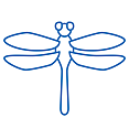 Aquatic Invertebrate Surveys