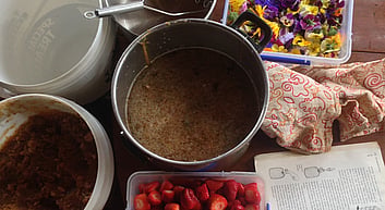 Online Fermentation course