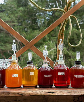 Fermentation Workshop