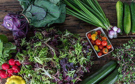 Home Gardening Online Course - Access 5+ hours of video content from Yotam on how to grow an abundant garden!NEW SALE PRICE! Now Only $99