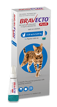 Bravecto Plus Medium Cat