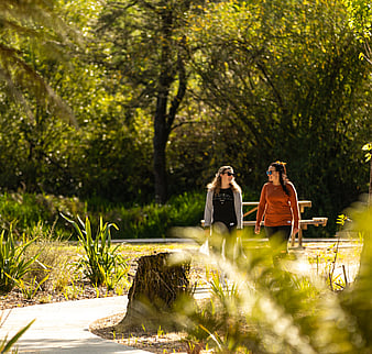 EXPLORE - THINGS TO SEE AND DO