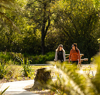 EXPLORE - THINGS TO SEE AND DO