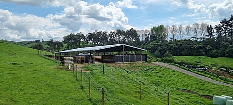 Covered deer yards