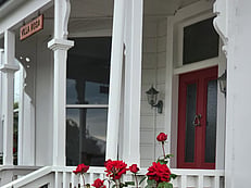 Rose garden at the front of Villa Rosa