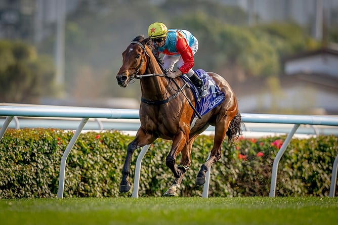 Ka Ying Rising won his 18th consecutive race in the Gr.1 Queen’s Silver Jubilee Cup at Sha Tin on Sunday. - Photo: Hong Kong Jockey Club