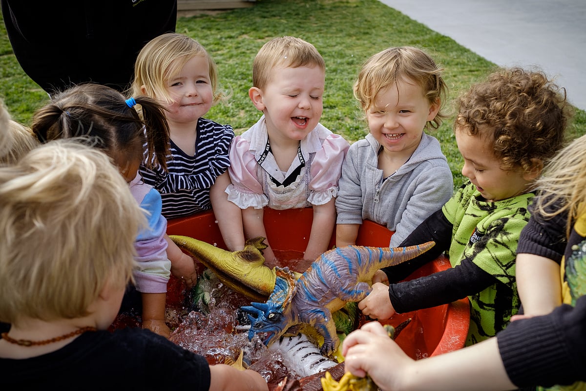 Dandelions and Dragonflies Childcare