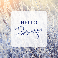 February 2026 Newsletter