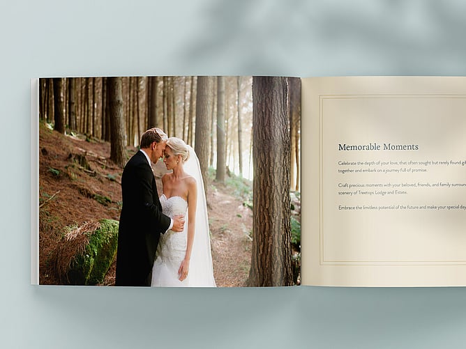 Wedding Branding COllateral a wedding brochure open showing a couple on their wedding day.