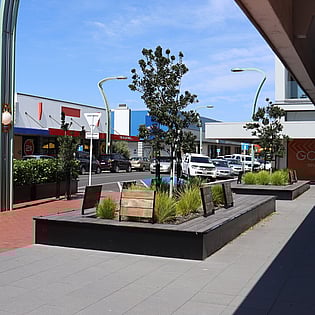 Town Centre Landscaping