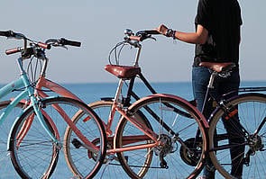 Cycle Napier