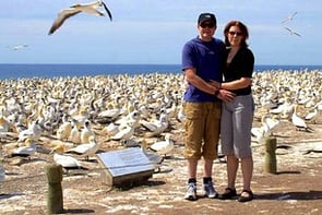 Gannet Tours