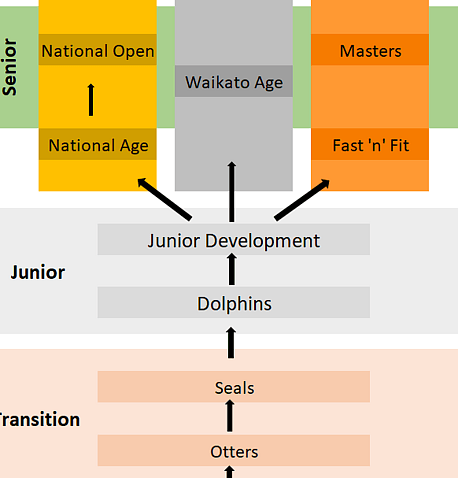 Hamilton Aquatics - Squad Flow Chart