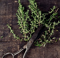 Cooking Classes