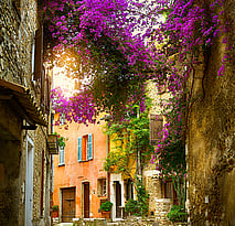 France Tours