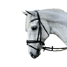 BRIDLES & BITS