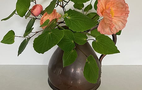 For Plant Lovers