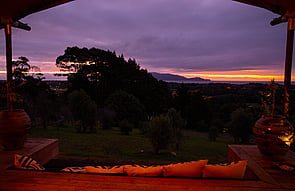 WOW in Waikanae